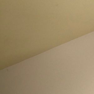 Meet your Posher, Alexi